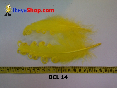 bulu curly BCL 14   feather  large2